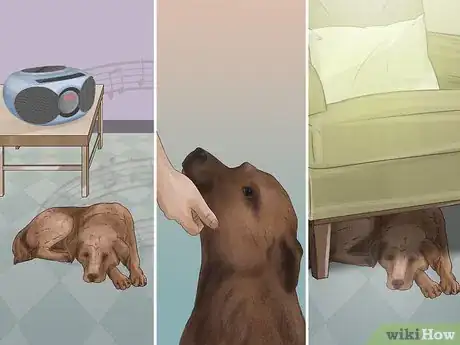 Image titled Treat a Dog for Rabies Step 13