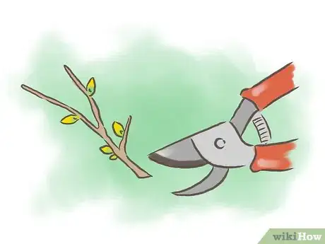 Image titled Root Forsythia Step 3