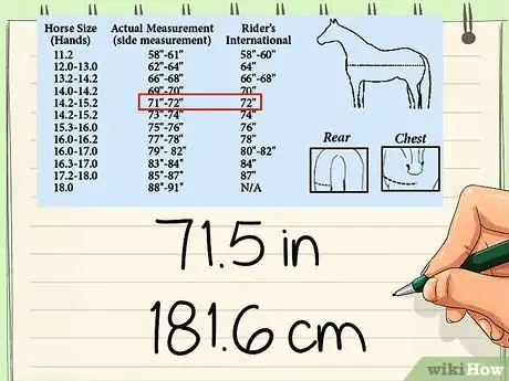 Image titled Measure for a Horse Blanket Step 6