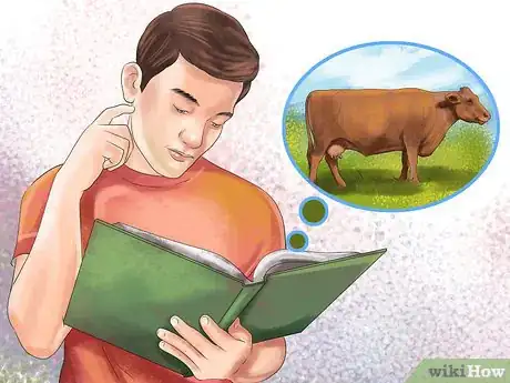 Image titled Identify Red Poll Cattle Step 3