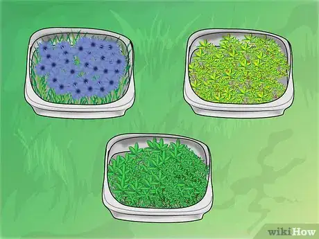 Image titled Plant a Herbal Knot Garden Step 4