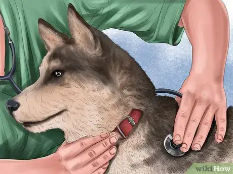 Image titled Care for Sled Dogs Step 5