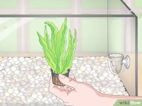 Image titled Set up a Planted Goldfish Aquarium Step 9
