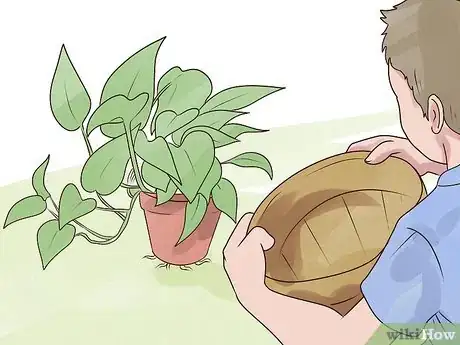 Image titled Rejuvenate an Overgrown Houseplant Step 1