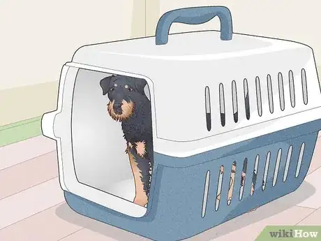 Image titled Have Healthy Relationships with Animals Step 10