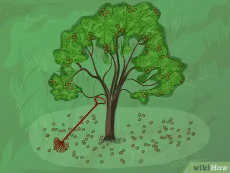 Image titled Harvest Pecans Step 8Bullet2