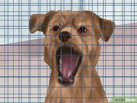Image titled Treat a Dog for Rabies Step 11