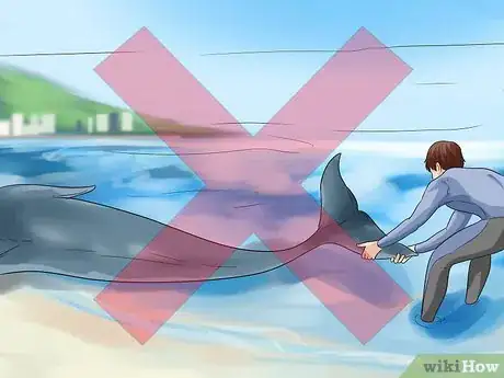 Image titled Care for a Beached Animal Step 12