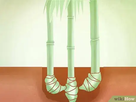 Image titled Plant a Clumping Bamboo Step 10