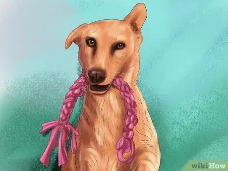 Image titled Select Safe Dog Toys Step 8