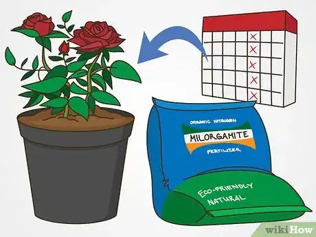 Image titled Maintain Roses Step 4