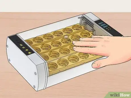 Image titled Buy an Egg Incubator Step 9