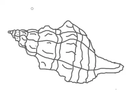 Image titled Drawaconchstep9.png