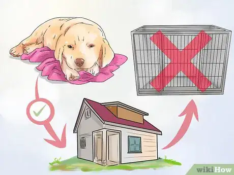 Image titled Get Used to a New Dog Step 16