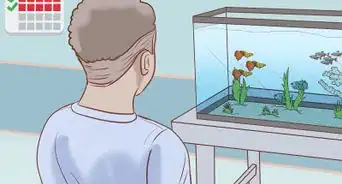 Find Compatible Tank Mates for Guppies