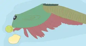 Set up a Billabong Bugs Kit