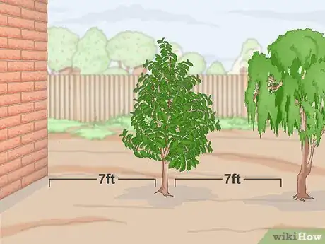 Image titled Plant Guanabana Seeds Step 4