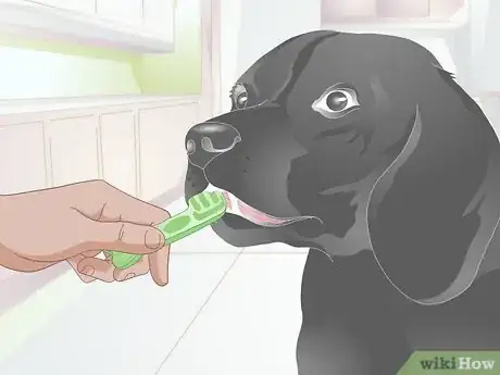 Image titled Choose Tartar Control Dog Treats Step 3