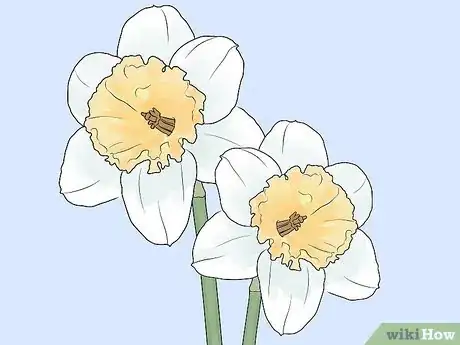 Image titled Plant Bulbs in Grass Step 9