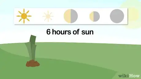 Image titled Grow Daylilies Step 2