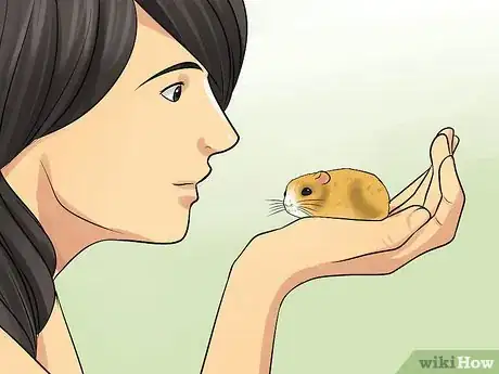 Image titled Tame an Older Hamster Step 8
