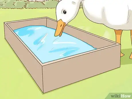 Image titled Keep Geese Step 11