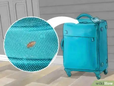 Image titled Avoid Bed Bugs when Traveling Step 10