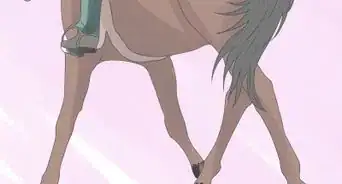 Teach Your Horse to Side Pass