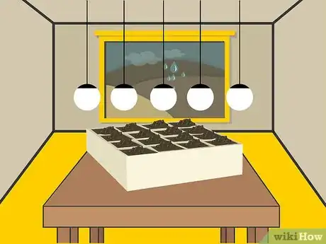 Image titled Grow Cumin Step 09