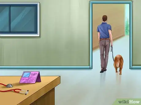 Image titled Keep Your Dog and Other Dogs Safe at the Vet Step 11