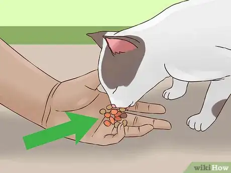 Image titled Change Cat Food Step 8