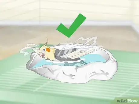 Image titled Entertain a Cockatiel Step 4