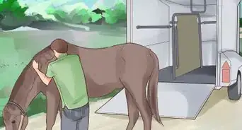 Trailer a Horse