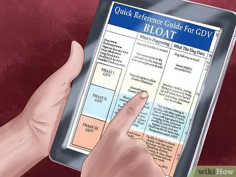 Image titled Care for an Irish Setter Step 9