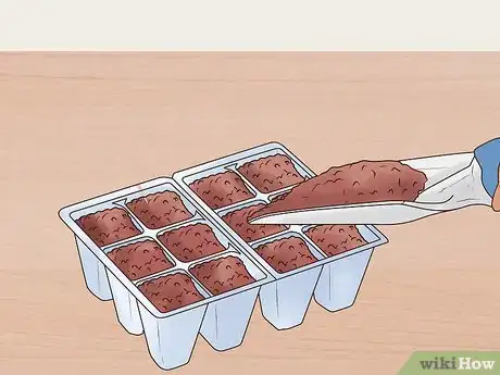 Image titled Grow Perennials From Seed Step 5