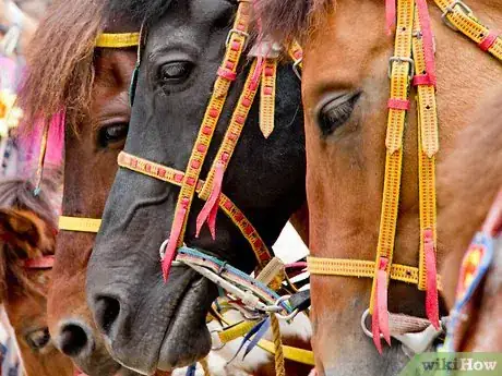 Image titled Behave Around a Horse Step 3