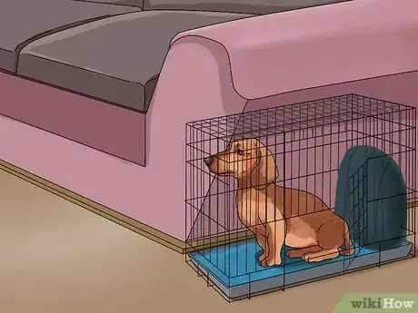 Image titled Crate Train Dachshunds Step 13