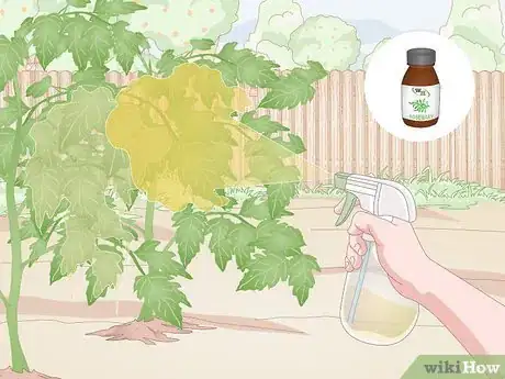 Image titled Prevent Spider Mites Step 12