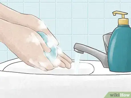 Image titled Reduce Guinea Pig Allergy Step 9