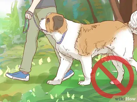 Image titled Treat a Dog for Snakebite in Australia Step 7