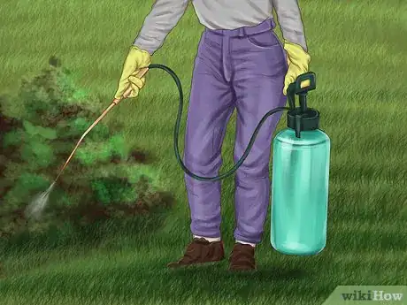 Image titled Avoid Poisoning Your Dog with Lawn Chemicals Step 4