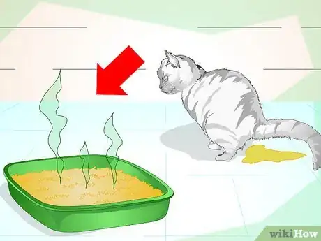 Image titled Keep Your Cat from Urinating Where It Shouldn't Step 4