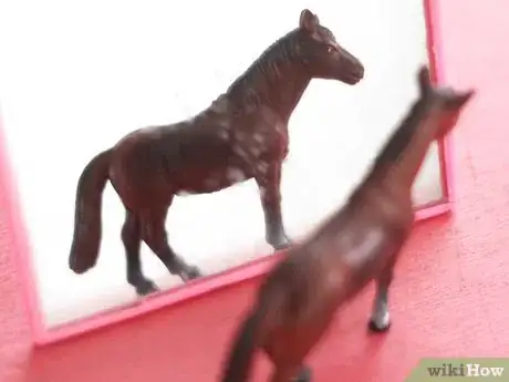 Image titled Behave Around a Horse Step 1