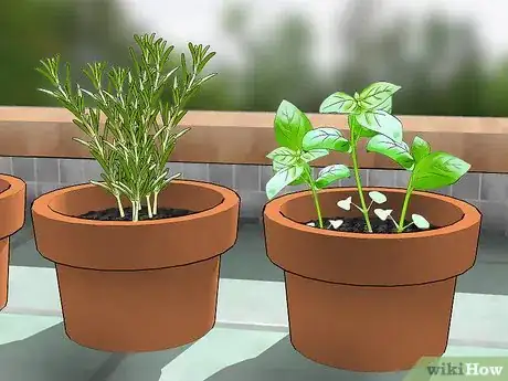 Image titled Keep Bugs Away Step 14