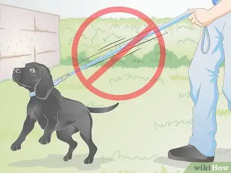 Image titled Choose a Dog Leash Step 5