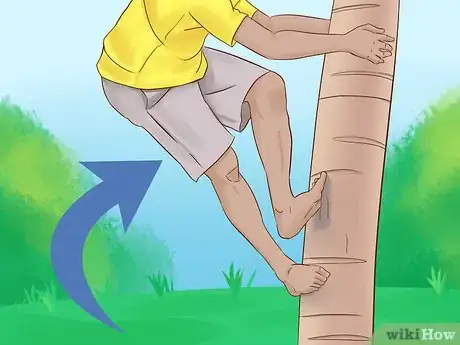 Image titled Climb a Tree With No Branches Step 5