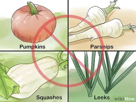 Image titled Grow Vegetables in Small Gardens Step 2
