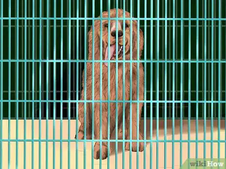Image titled Housebreak a Dog Using a Crate Step 7