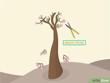 Image titled Prune Desert Rose Step 05