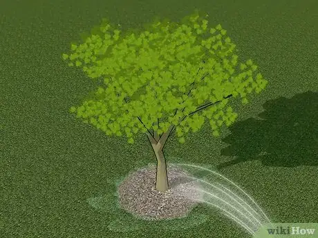 Image titled Plant Redbud Trees Step 9